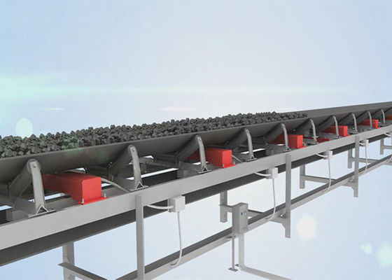 Pesador ajustable de la banda transportadora de la velocidad 10Tph 1500m m