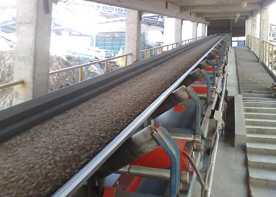 Pesador de la banda transportadora de la categoría alimenticia 220VAC 600m m en industria de sal